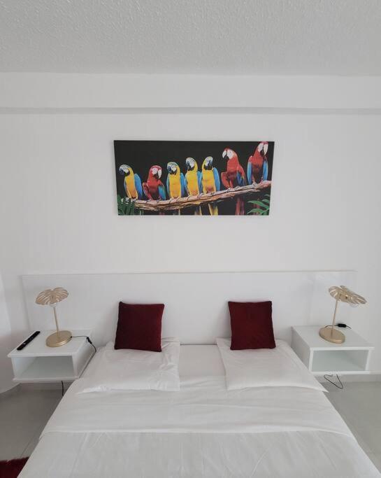 Hello Guyane, Suite Collection Cayenne Exterior photo